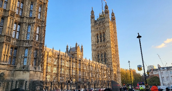 2025.11 대표이미지